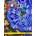 OUR WORLD BRE 5 2E WORKBOOK