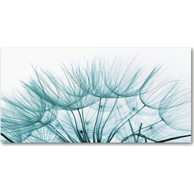 Foto obraz sklo tvrzené semeno púpavy 100x50 cm