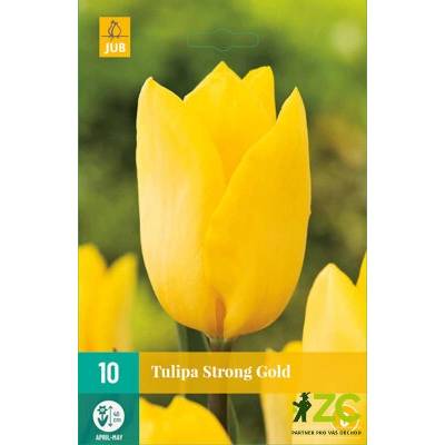 Karta Tulipán Tulipán Strong Gold "C" 7 ks
