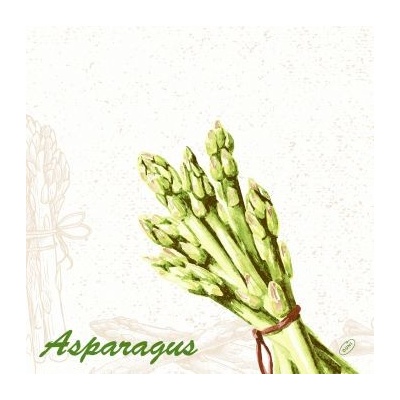 Dunisoft Ubrousek GREEN ASPARAGUS 40x40cm