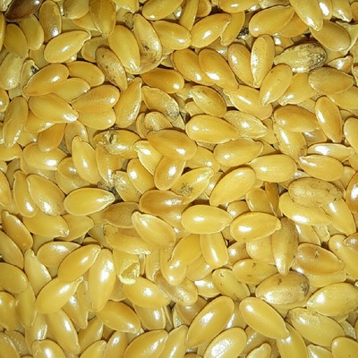 Olejářství Lněné semínko Raciol 5000 g