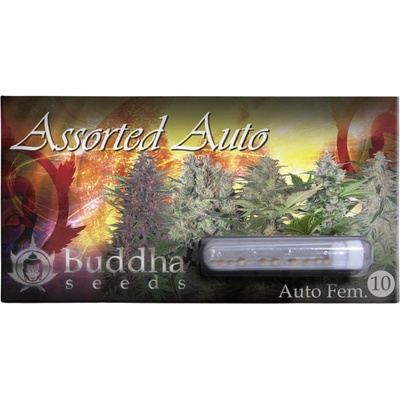 Buddha Seeds Assorted AUTO MIX semena neobsahují THC 10 ks