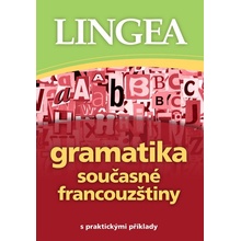 Gramatika současné francouzštiny s praktickými příklady