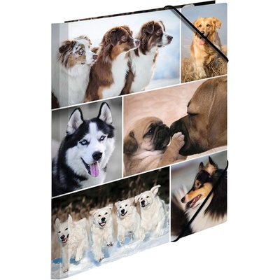 HERMA Папка Animals, картонена, с ластик, A4, кучета (O1070380018)