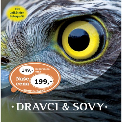 Dravci a sovy