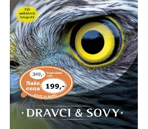 Dravci a sovy