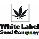 White Label Pure Power Plant semena neobsahují THC 10 ks