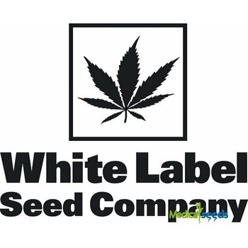 White Label Pure Power Plant semena neobsahují THC 10 ks