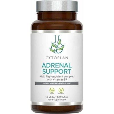 Cytoplan Adrenal support komplex pro nadledviny 60 vegan kapslí
