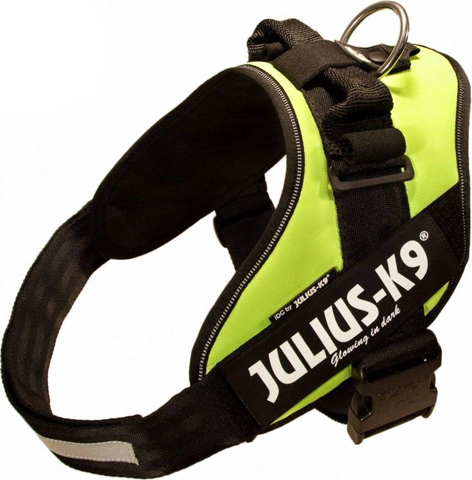 Julius-K9 IDC Postroj Power