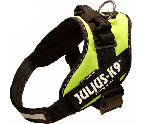Julius-K9 IDC Postroj Power