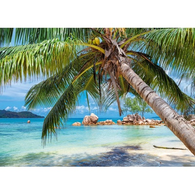 Alipson Puzzle - Puzzle Plage Tropicale - 1 000 piese