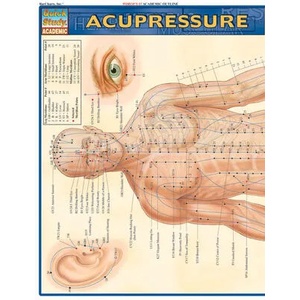 Acupressure Laminate Reference Chart (ISBN: 9781572228399)