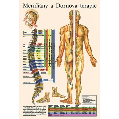 Vydavateľstvo Poznání Anatomický plagát - Meridiány a Dornova terapia 47 x 32 cm | CS