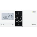 ENGO E901