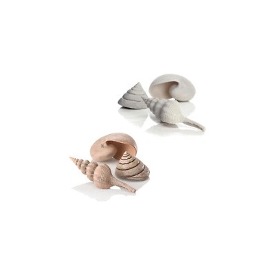 BiOrb Sea shells natural 13 cm, 6,5 cm, 9,5 cm
