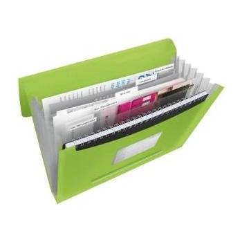Esselte Briefcase with 6 compartments esselte vivida, green