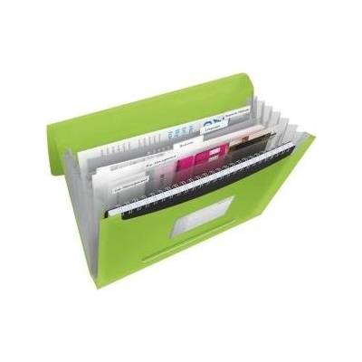 Esselte Briefcase with 6 compartments esselte vivida, green