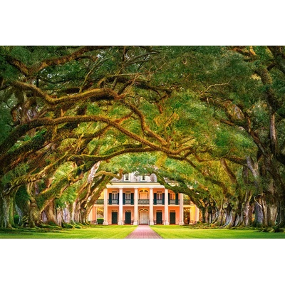 Castorland - Puzzle Oak Alley Plantation - 1 000 piese