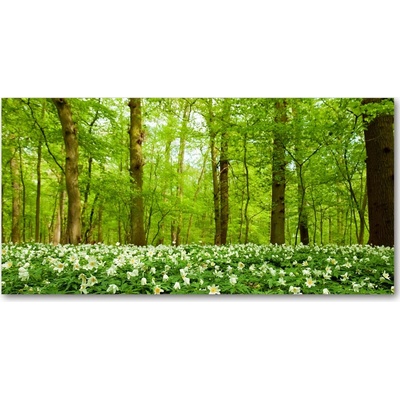 Foto obraz sklenený horizontálny Kvety v lese 100x50 cm