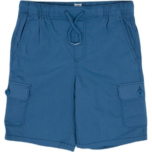 GAP V-hybrid cargo s