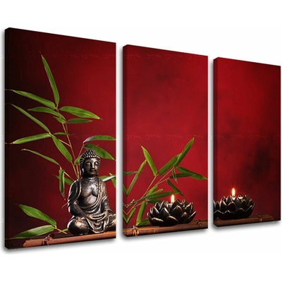 Obraz na stenu FENG SHUI - 90x60 cm