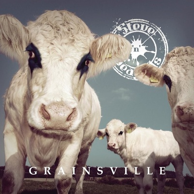STEVE 'N' SEAGULLS - GRAINSVILLE CD