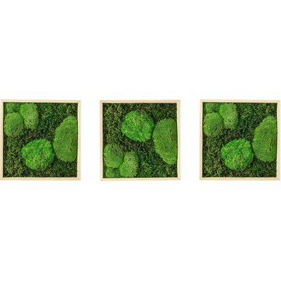 Gardners Set 3 mechových obrazů 35x35 kombinovaný mech kopečkový s plochým, přírodní