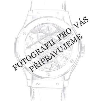 Festina 16666/3