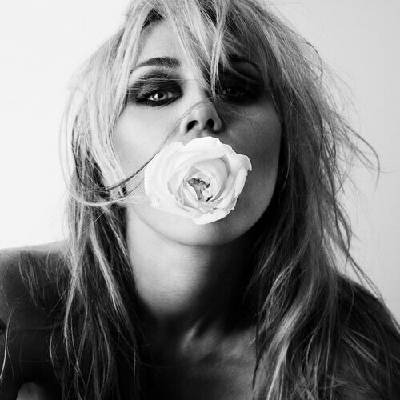 Miley - Bass Persuades CD