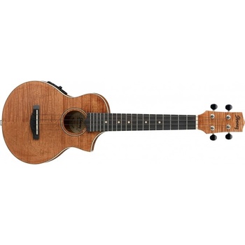 Ibanez UEW15E