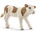 Schleich Фигурка Schleich Farm Life - Симентал теле (13802)