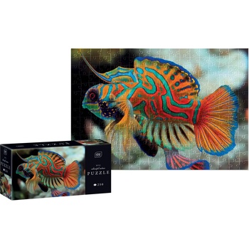 Interdruk - Puzzle Colourf. Nature: Mandarinfish - 250 piese