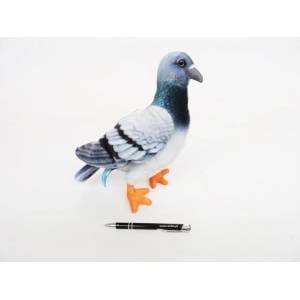 Dubi Blue pigeon 30cm