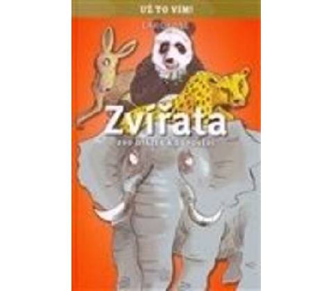 Zvířata