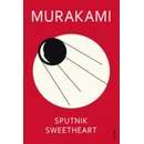 Sputnik Sweetheart