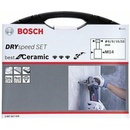 Bosch 2607017579