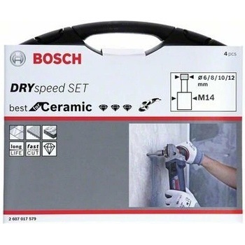 Bosch 2607017579