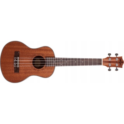Prodipe Guitars