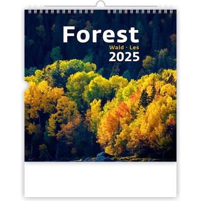 nástěnný Forest / Wald / Les 2025