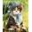 Norimpex - Puzzle Diamant painting: Kitten with hat and scarf 30x40 cm - 1 - 39 piese