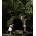 Jeff Wall | Thierryde Duve