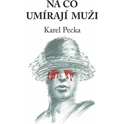 Na co umírají muži