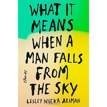 What It Means When a Man Falls from the Sky