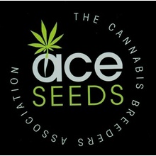 Ace Seeds Malawi x PCK semena neobsahují THC 3 ks