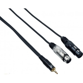 Bespeco EAYMS2FX500