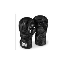 Phantom Sparring muay thai