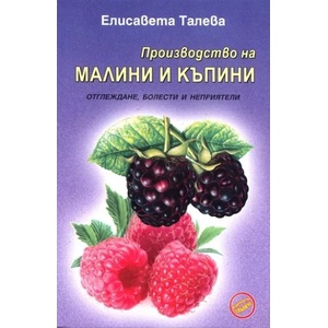 Производство на малини и къпини (2010)