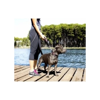 EzyDog Mongrel