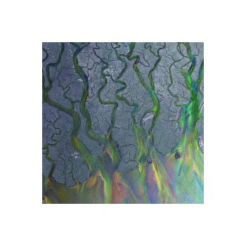 Alt-J - An Awesome Wave LP